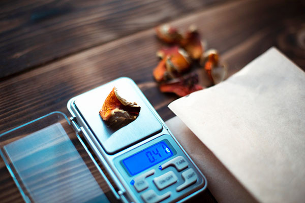 close-up photo of a portable digital scale holding a piece of dried mushroom, with other pieces in the background out of focus